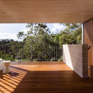 blackbutt_middle_cove